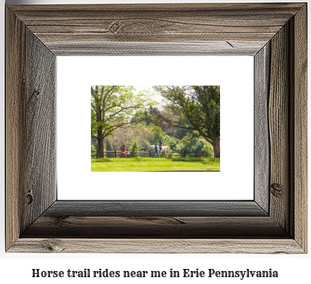 horse trail rides near me in Erie, Pennsylvania